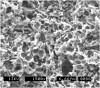 Figure 1  Typical “honeycomb” pattern seen in a scanning electron micrograph of a stackable (ie, powder/liquid) feldspathic porcelain etched, in this case, for 5 minutes with 4% HF. A similar etching pattern is observed when 9% to 10% HF is applied for 90 seconds. Etching with HF creates a high-energy, retentive, and hydrophilic surface.