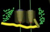 Figure 4  Dental implants virtually placed in close proximity to inferior alveolar nerve. Note green dots representing roots of adjacent teeth in surgical site.