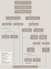 Fig 1. The decision tree for treatment of post-orthodontic GR.