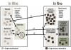 Fig 4. Challenges for detecting meaningful correlations between in-vivo and in-vitro testing. (reproduced with permission from Elsevier from reference 14)