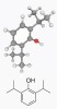 Figure 1  <p class=