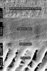 Fig 4. The hybrid layer and associated resin tags form the foundation of the adhesive interface and represents the first in a series of links that to- gether form a bonded assembly between the tooth tissues and resin-based restoratives and cements.