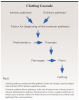 Fig 3. Clotting cascade: intrinsic and extrinsic pathways.