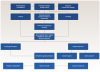 Fig 1. Surgical/orthodontic decision tree for impacted maxillary central incisors.