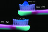 Fig 1. Recommended doses of fluoridated toothpaste for children 6 years of age and under.