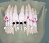 Fig 12. This planning software treatment simulation of the patient shown in Fig 11 was based on CBCT and intraoral scanning at the start of orthodontic treatment with clear aligners, prior to any tooth movement.