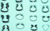 Fig 1. Use of a DOM can aid clinicians in selecting the most suitable clamp shape and size depending on the specific tooth structure.