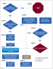 Fig 2. Foreign body ingestion or inhalation management protocol.