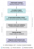 Fig 1. AI-assisted radiographic diagnostic workflow.