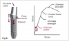 Fig 6. The use of an uncoated titanium abutment screw did not achieve the desired level of preload or intimate connection.