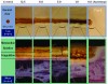 Fig 8. NBTC stain showing effect of cutting speed on collateral thermal damage using TOP surgery cuts.