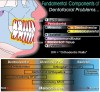 Figure 1  The Fundamental Components of Dentofacial Problems (top). The most   significant limitation to orthodontic tooth movement is the cortical bone, especially buccal and lingual to the apices of the teeth, which have been referred to as “orthodontic walls” (center). Malocclusions of bony origin can be ranked on an increasing severity scale according to the involved Fundamental Components (bottom).