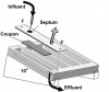 Figure 5c  Model systems for biofilm research in vitro. (C) Drip-flow reactor.