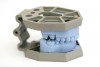 Figure 9  The sectioned SLA resin models are mounted on the articulator.