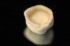 Figure 15  The digital veneer has been placed over the zirconia substructure to express the excess fusion porcelain at the margins.