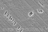 Figure 1  Scanning electron micrograph of the microstructure of a glass veneer porcelain.